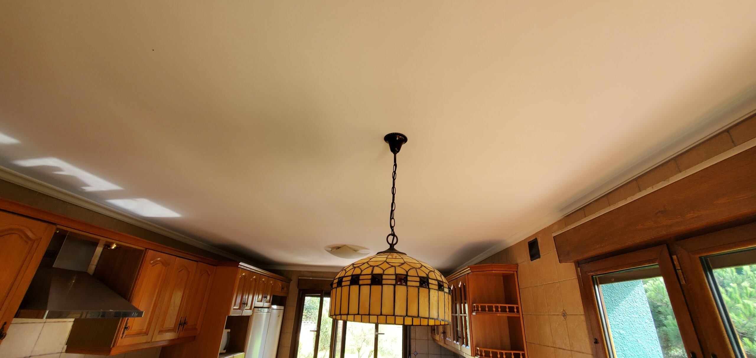 Techos blanco antimohos